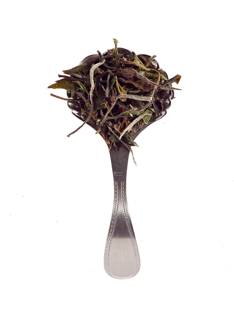 Sachet 60g - Pai Mu Tan